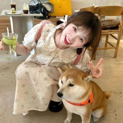 亲爱的阿基米德