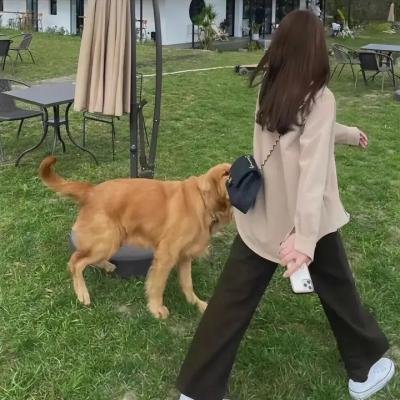 片断粤语